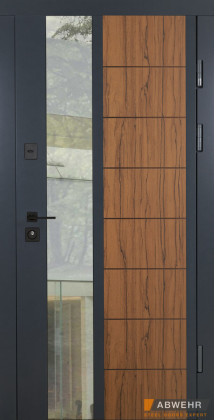 Abwehr Вхідні двері з терморозривом модель Ufo Gold (колір Ral 7016 + вулична плівка) комплектація COTTAGE 478 - Город Дверей