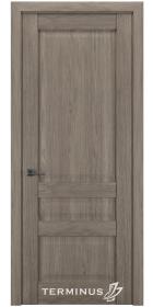 Двері модель 608 Тундра (глуха)